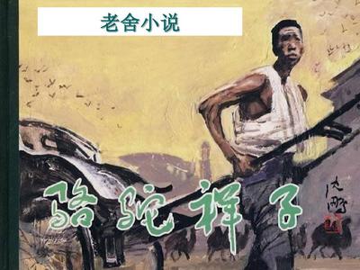 深入了解 糖心官网入口